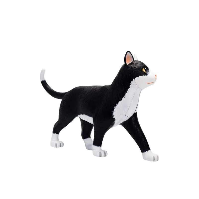 4D Vision черно-бяла анатомическая модел орган котка, играчки-пъзели за деца и студенти по медицина, ветеринарна образователна модел4