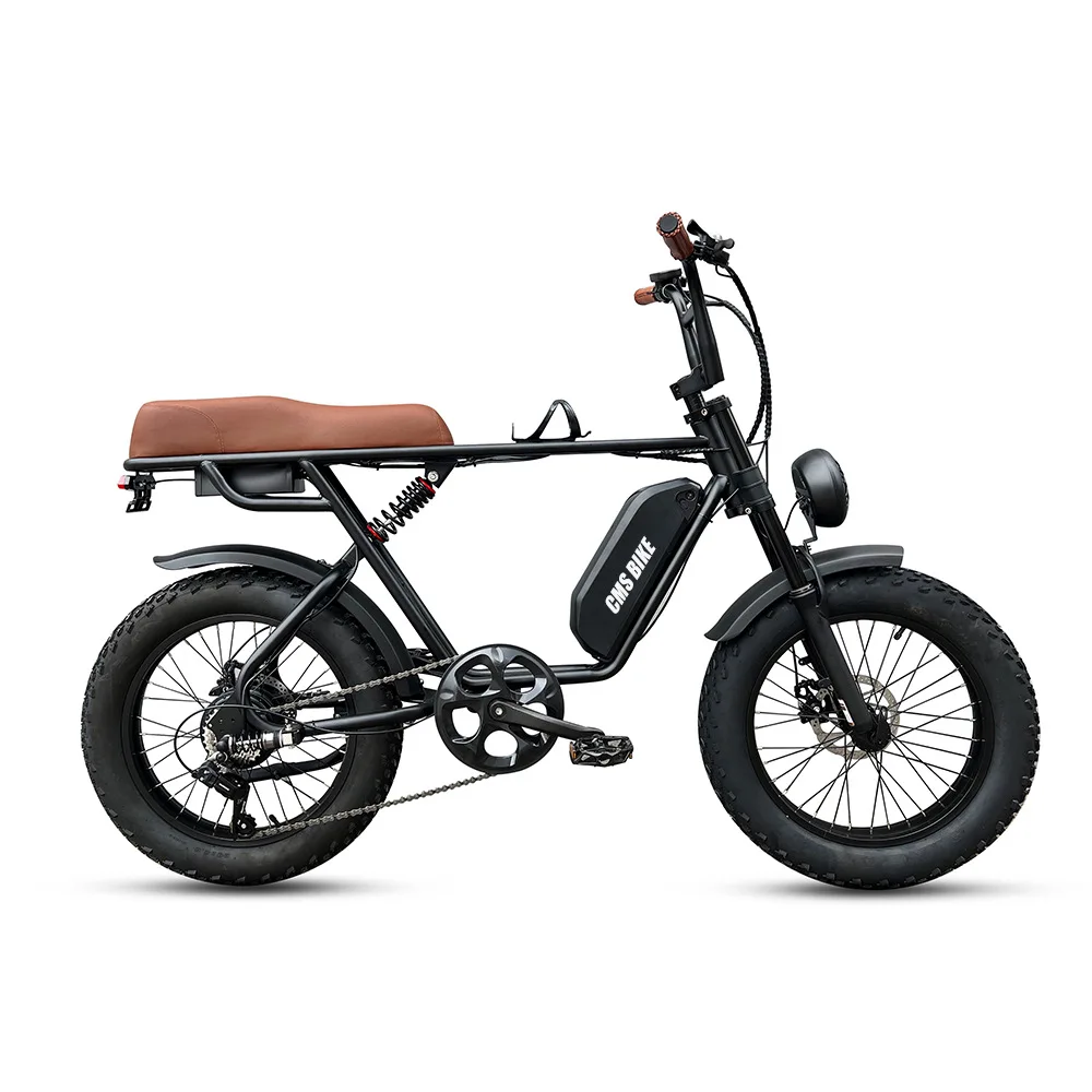 Електрически велосипед 20-инчов дебела гума за сняг с регулируема скорост, плажен литиева офроуд терен, дискови спирачки F/ R3