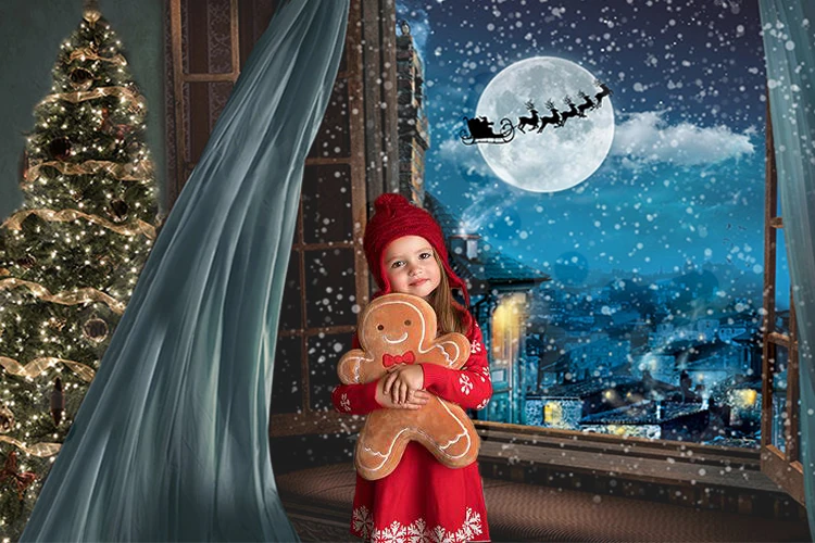 Снимки на Профила на Перваза на прозореца Неясен-Синя Звездна нощ Снежинка Снимка Фон Коледен Фон за фото студио1