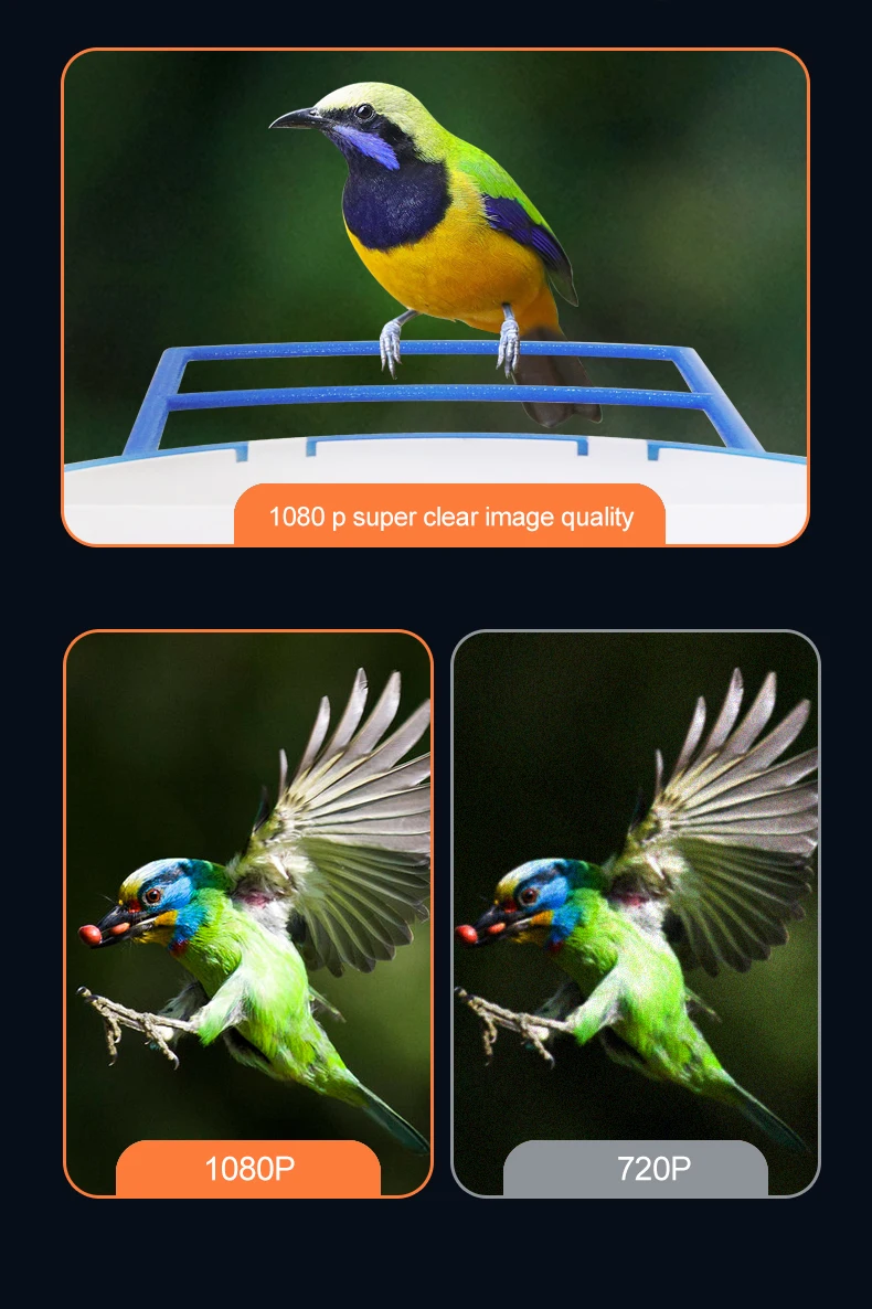 1080P Слънчеви Wifi камера за наблюдение на птици, външна водоустойчив безжична ясла за птици, 2-мегапикселови камери за наблюдение с откриването на изкуствен интелект, 2-лентов звук4