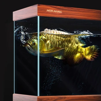 Аквариум Китайски Супер Бял Филтър С Прозрачно Дъно Хол Рибен Глобус Офис Фън Шуй Fortune Dragon Аквариум За Риби
