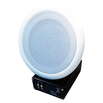 Ултразвукова насочен говорител с фокусиран звук WS-R/V1.0, разделение на усилвател и говорител, линейни аудио вход