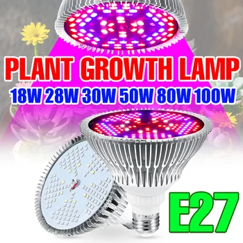 E27 Led Лампа За Отглеждане на Растения E14 Фито Лампа За Оранжерии Led Светлини на Пълна Гама от Фитолампа за Растенията 100 W Система за Хидропонно Отглеждане