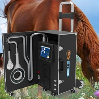 Конче-физио-магнитна терапия PEMF за лечение на коне с водно охлаждане 3000 Hz