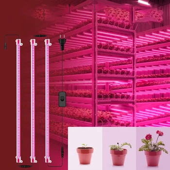 Растенията Пълен Набор от LED цвете Расте палатка скоростна Светлина да расте Оранжерия Фито лампа комплект червен син Отглеждане на Зеленчуци На закрито Лампи за растеж